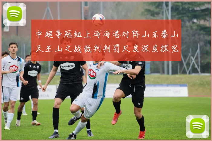 中超争冠组上海海港对阵山东泰山天王山之战裁判判罚尺度深度探究