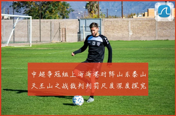 中超争冠组上海海港对阵山东泰山天王山之战裁判判罚尺度深度探究